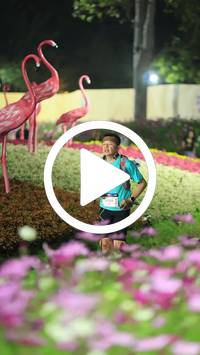 BIB:  <button type="button" onclick="openModal(27589893)" class="btn btn-primary btn-sm float-right" data-toggle="modal" data-target=".modal-high-quality">
                <i class="fa fa-download"></i> Download
                </button>